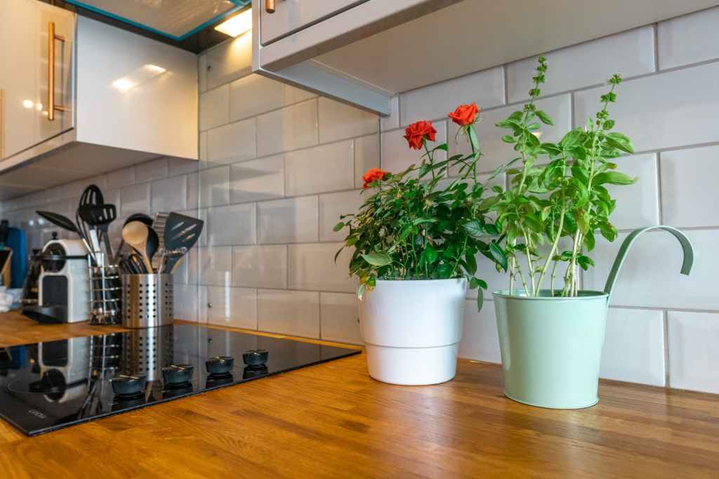 The Most Popular Kitchen Trends in&nbsp;2022